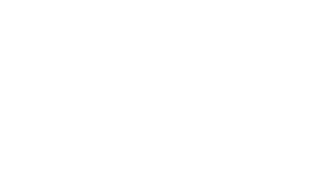 Plunge logo white